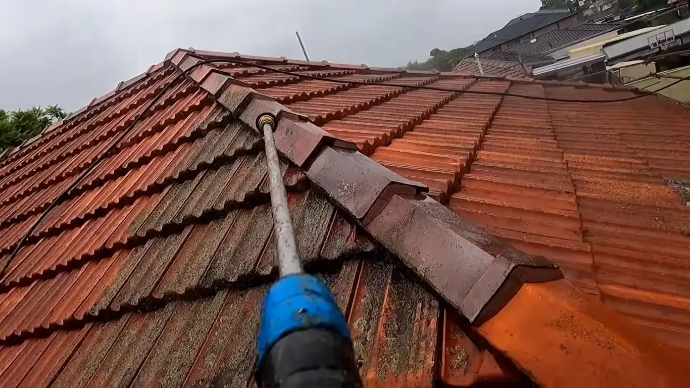 Advanced Soft Wash services